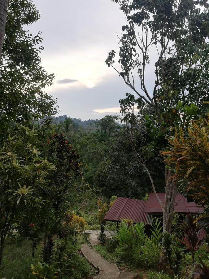 Durian Chalet Kuala Tahan Eksteriør billede