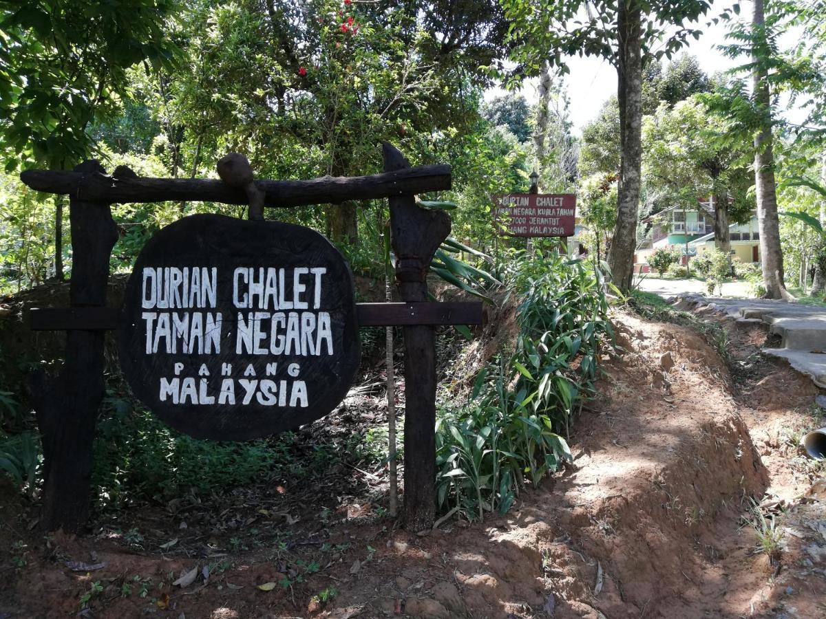 Durian Chalet Kuala Tahan Eksteriør billede