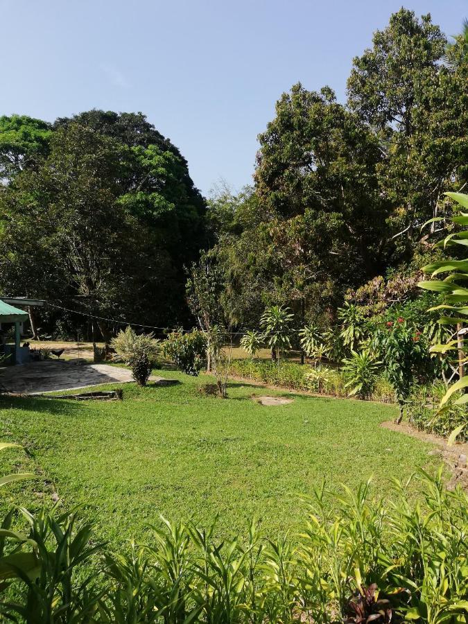 Durian Chalet Kuala Tahan Eksteriør billede