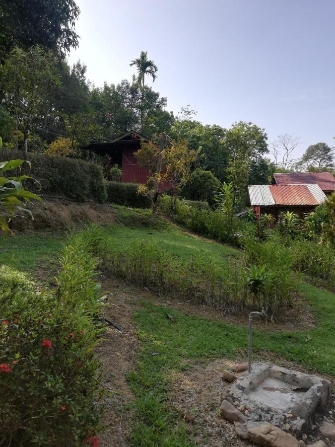 Durian Chalet Kuala Tahan Eksteriør billede